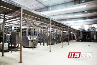 優(yōu)氏乳業(yè) 以“寧鄉(xiāng)智造”技術(shù)服務(wù)，助力國家學(xué)生飲用奶計(jì)劃，引領(lǐng)健康食品產(chǎn)業(yè)創(chuàng)新