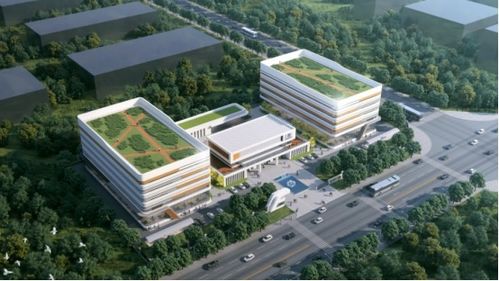 三十年專注，匠心鑄就生物科技新篇章——廣西博生生物抗體與功能蛋白的研發(fā)與應(yīng)用服務(wù)